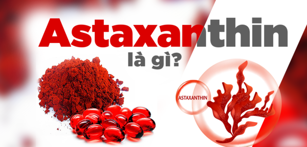 Astaxanthin là gì